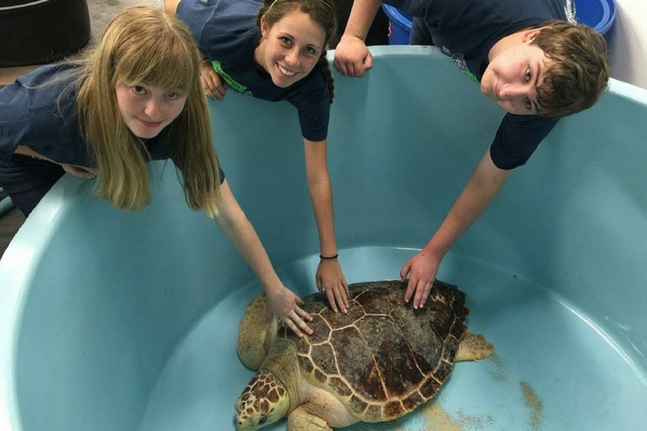 campers-at-turtle-tank