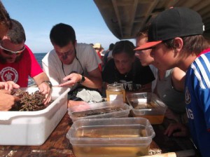 marine-biology-careers-exploration-and-study